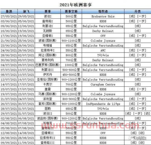 附加赛赛程表2021（附加赛比分）